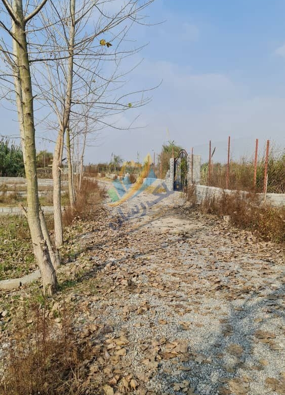  ملک باغی ۲۰۰ تا ۲۵۰ متر نزدیک ساحل محمودآباد