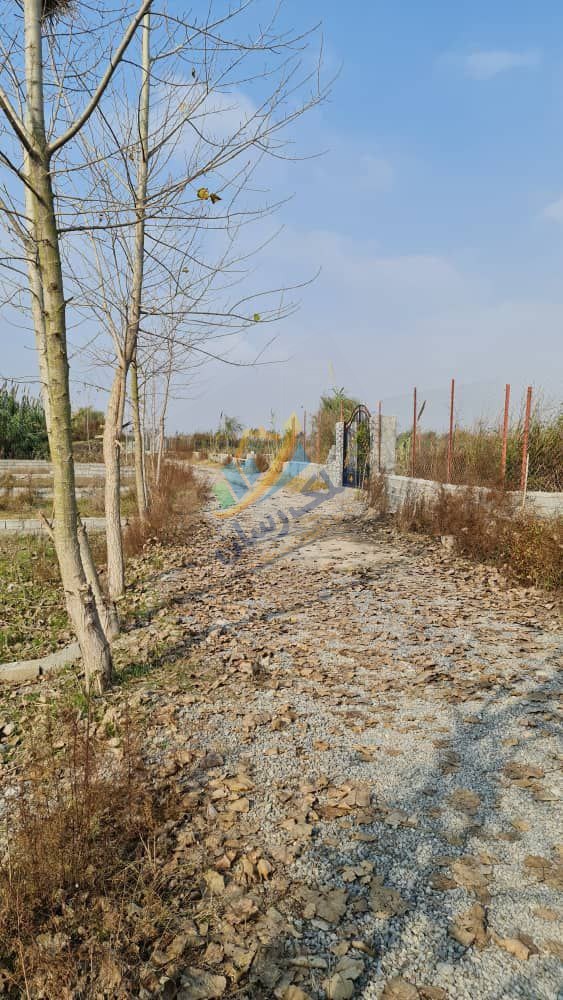  ملک باغی ۲۰۰ تا ۲۵۰ متر نزدیک ساحل محمودآباد