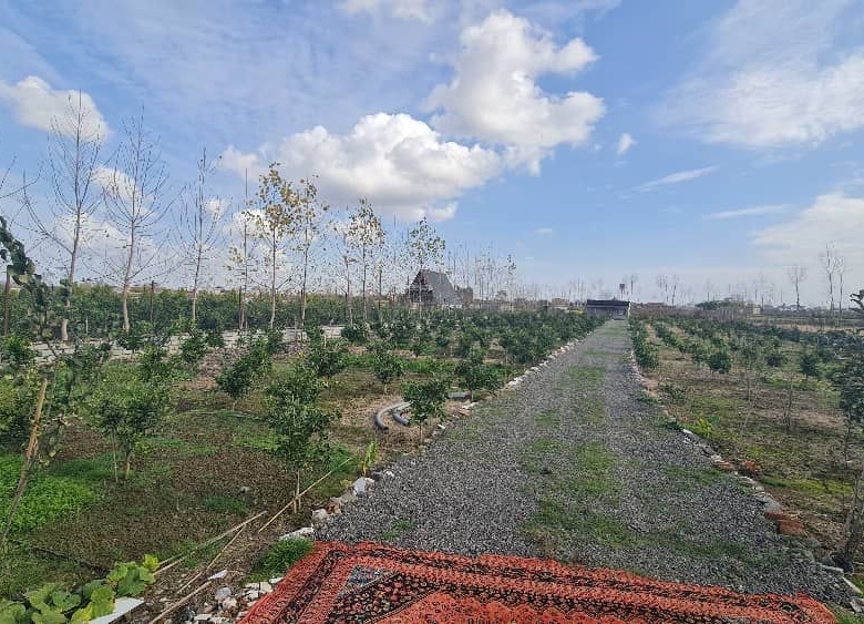 ۳۰۰۰ مترمربع زمین باغی دارای درختان سیاه‌ریشه و مرکبات کاشته‌شده سوییت ۴۰ متری قابل استفاده دور تا دور زمین حصارکشی‌شده نمای باغ