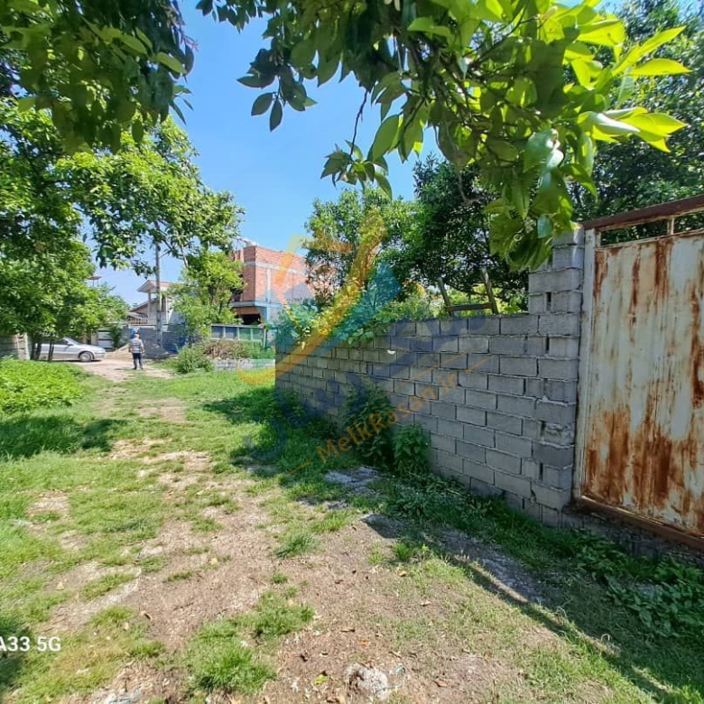 باغ مرکبات ۵۰۰ متری در محمودآباد درختان مرکبات در باغ شمال فضای سبز و محیط آرام باغ