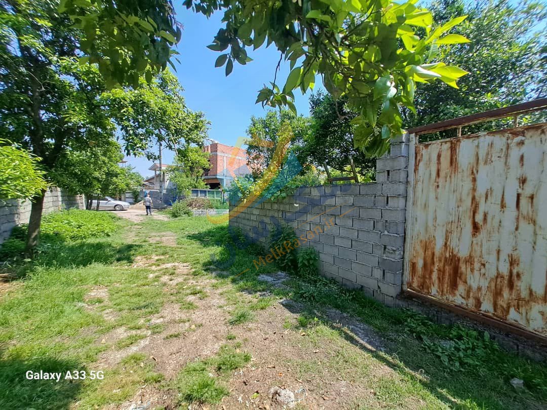 باغ مرکبات ۵۰۰ متری در محمودآباد درختان مرکبات در باغ شمال فضای سبز و محیط آرام باغ