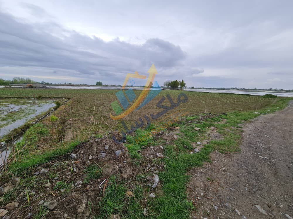 photo_2_2025-12-28_03-31-07 زمین کشاورزی ۵۰۰۰ متر با سند رسمی در مسیر آمل به سرخرود