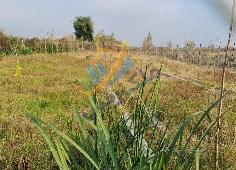  ملک باغی ۲۰۰ تا ۲۵۰ متر نزدیک ساحل محمودآباد