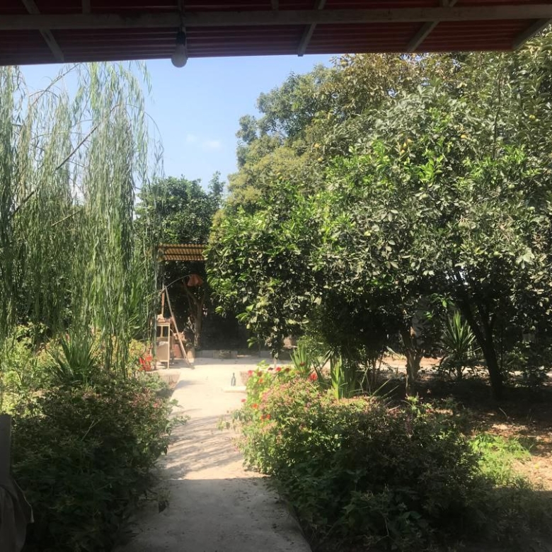 ویلا باغ 600 متری در جاده آمل به سرخرود نمای حیاط