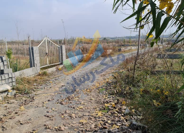  ملک باغی ۲۰۰ تا ۲۵۰ متر نزدیک ساحل محمودآباد