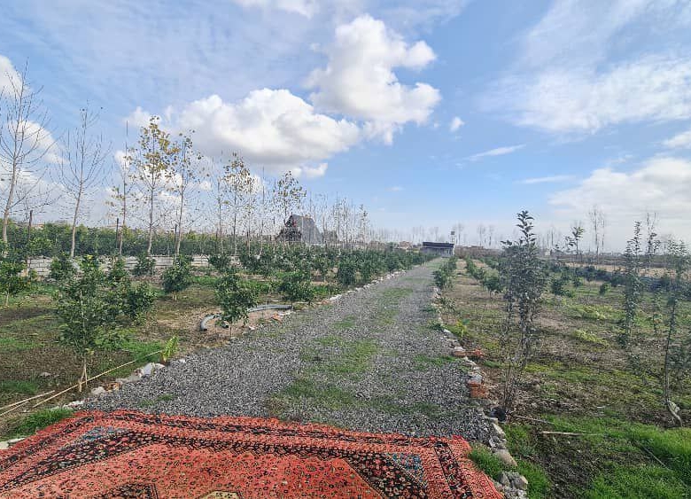 ۳۰۰۰ مترمربع زمین باغی دارای درختان سیاه‌ریشه و مرکبات کاشته‌شده سوییت ۴۰ متری قابل استفاده دور تا دور زمین حصارکشی‌شده نمای باغ