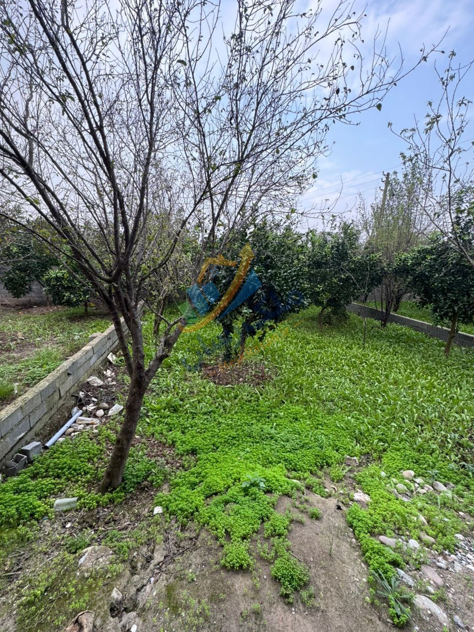 ویلا نیم‌پیلوت نما سنگی شهرکی در سرخرود محمودآباد نمای حیاط فضای سبز