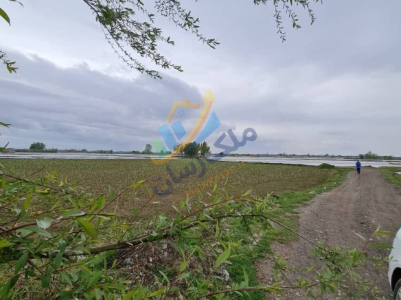زمین کشاورزی ۵۰۰۰ متر با سند رسمی در مسیر آمل به سرخرود