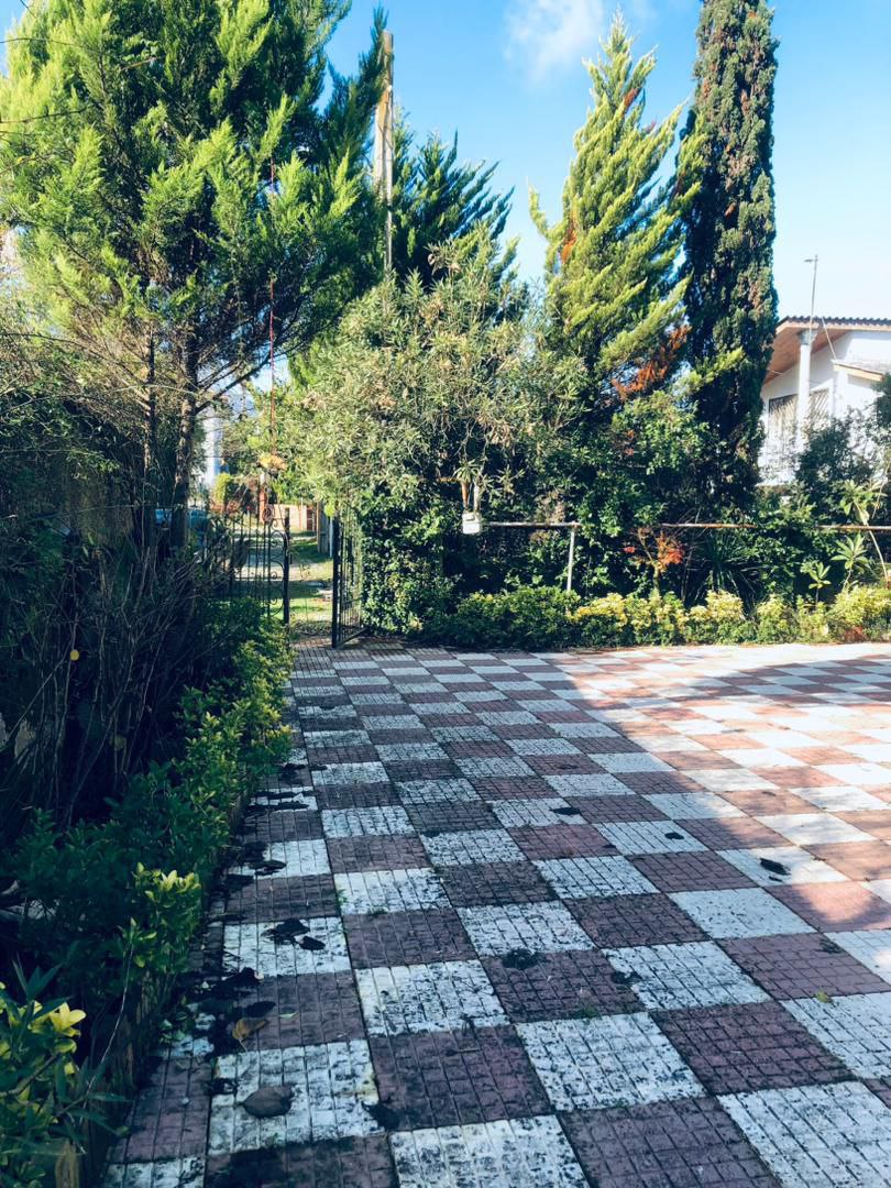 ویلا باغ با ویو جنگل و متراژ وسیع – نوشهر زمین: ۷۰۰ مترمربع خالص (بدون مشاعات) نمای حیاط نمای حیاط زمین: ۷۰۰ مترمربع خالص (بدون مشاعات) بنای ویلا: ۱۵۰ مترمربع