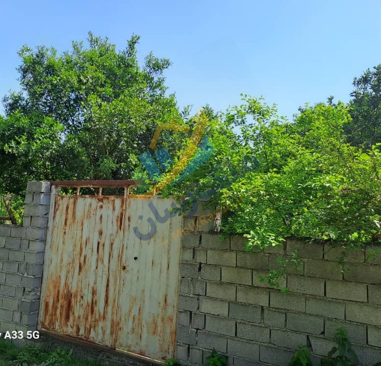 باغ مرکبات ۵۰۰ متری در محمودآباد درختان مرکبات در باغ شمال فضای سبز و محیط آرام باغ
