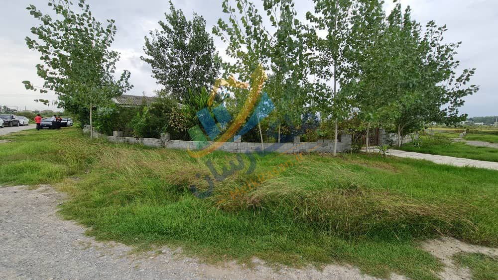 photo_5_2025-12-29_01-49-19 ملک باغی ۲۵۰ متری سنددار نزدیک ساحل محمودآباد با قابلیت ساخت ویلا باغ زیبا