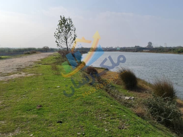  ملک باغی ۲۰۰ تا ۲۵۰ متر نزدیک ساحل محمودآباد