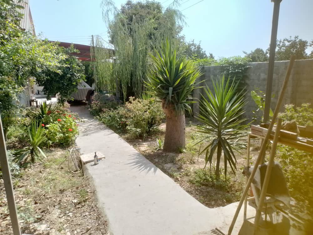 photo_8_2025-12-19_01-40-47 ویلا باغ 600 متری در جاده آمل به سرخرود نمای حیاط