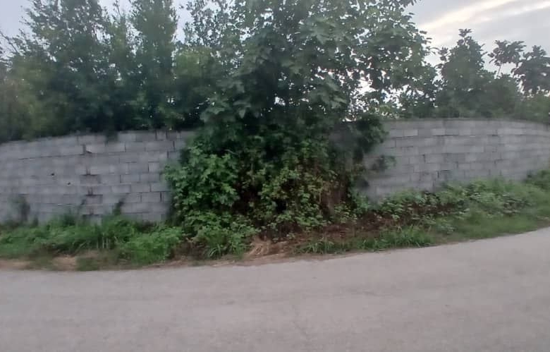 ویلا باغ 600 متری در جاده آمل به سرخرود نمای کوچه