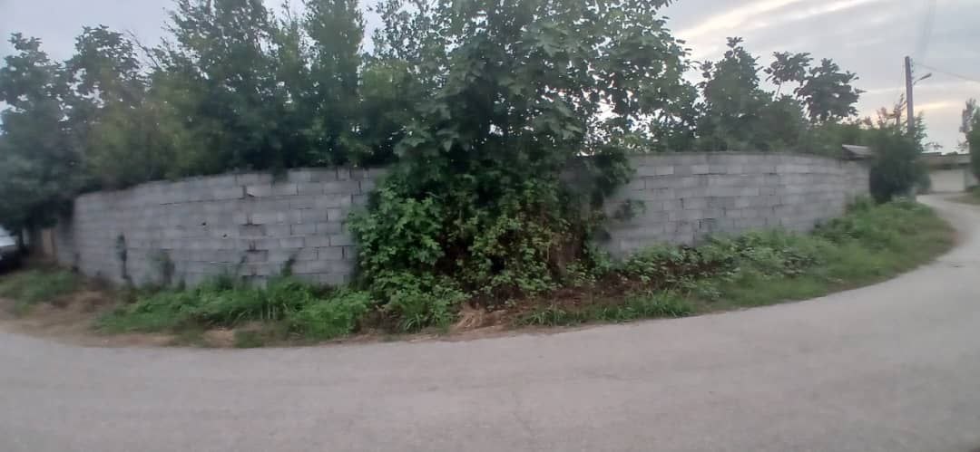 ویلا باغ 600 متری در جاده آمل به سرخرود نمای کوچه