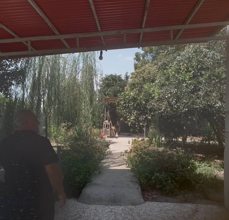 ویلا باغ 600 متری در جاده آمل به سرخرود نمای حیاط