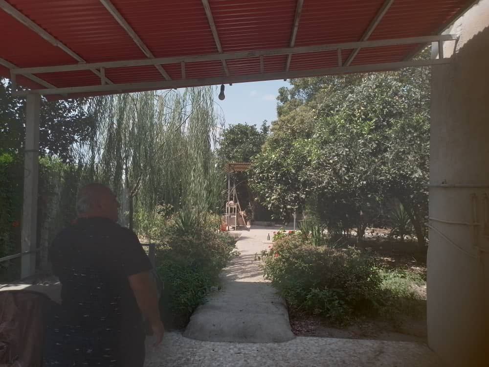 photo_9_2025-12-19_01-40-47 ویلا باغ 600 متری در جاده آمل به سرخرود نمای حیاط
