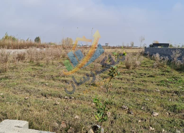  ملک باغی ۲۰۰ تا ۲۵۰ متر نزدیک ساحل محمودآباد