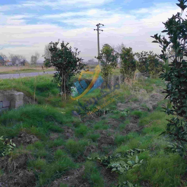 زمین باغی در آمل ۲۰۰۰ متر