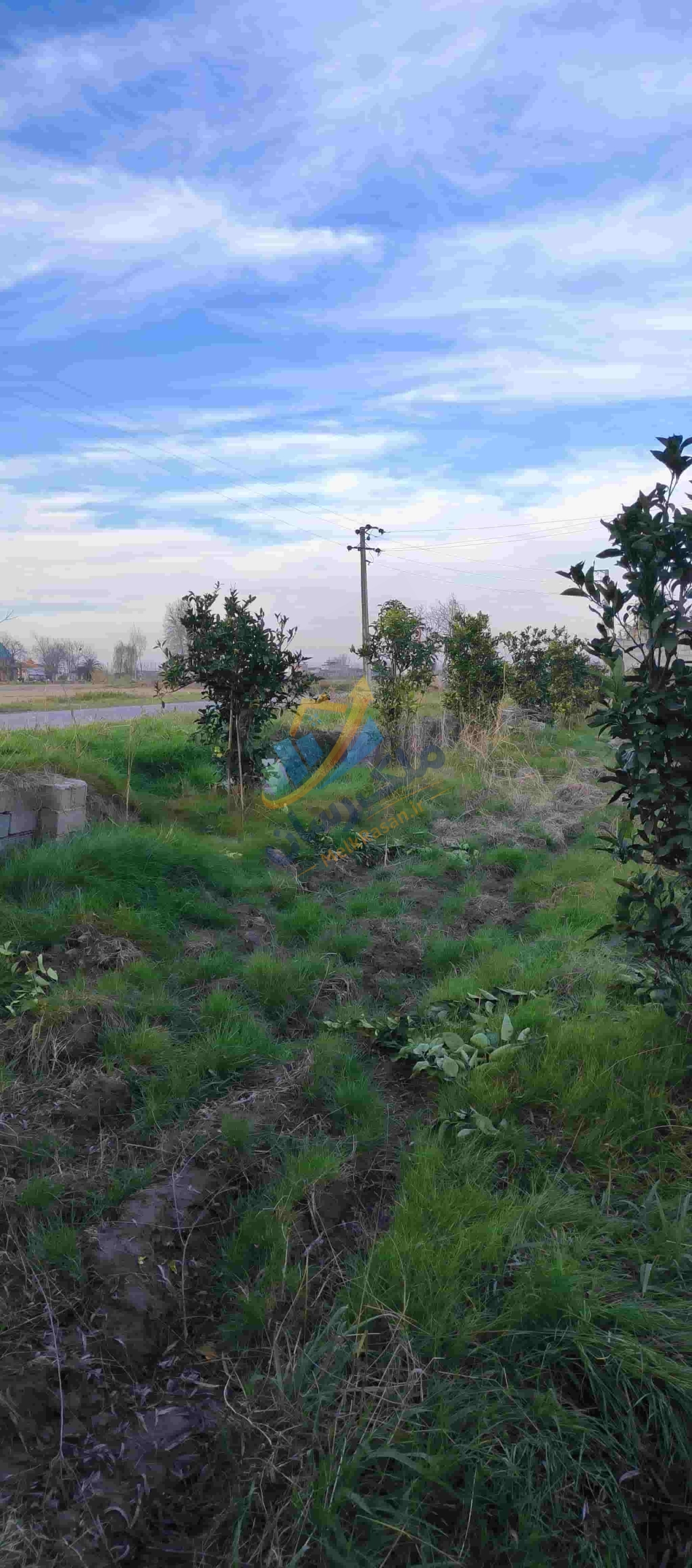 زمین باغی در آمل ۲۰۰۰ متر