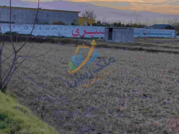 زمین کشاورزی سر جاده اصلی در آمل متراژ ۴۰۰۰ متر مربع