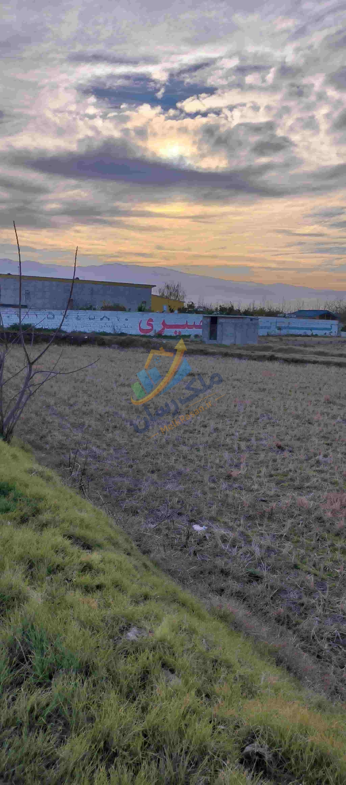 IMG_20260112_154234 زمین کشاورزی سر جاده اصلی در آمل متراژ ۴۰۰۰ متر مربع
