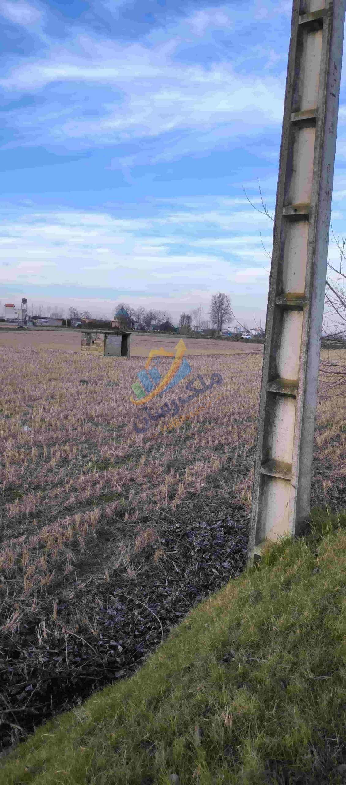 زمین کشاورزی  با قابلیت تبدیل به باغ و ساخت ویلا باغ مسیر آمل به سرخرود متراژ زمین: ۴۰۰۰ متر