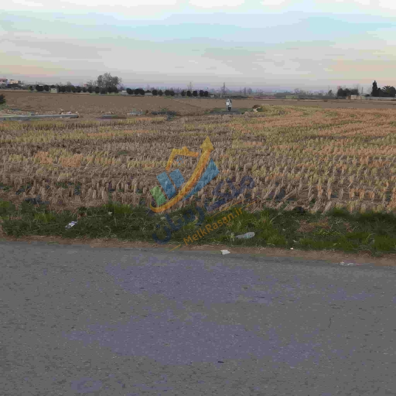 زمین کشاورزی باغی در آمل متراز سه هزار متر