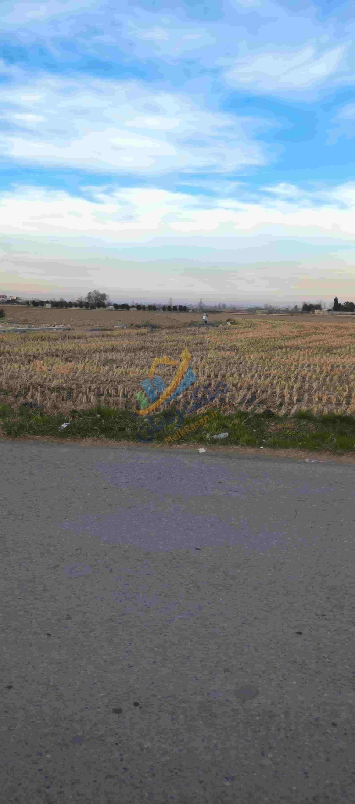 زمین کشاورزی باغی در آمل متراز سه هزار متر