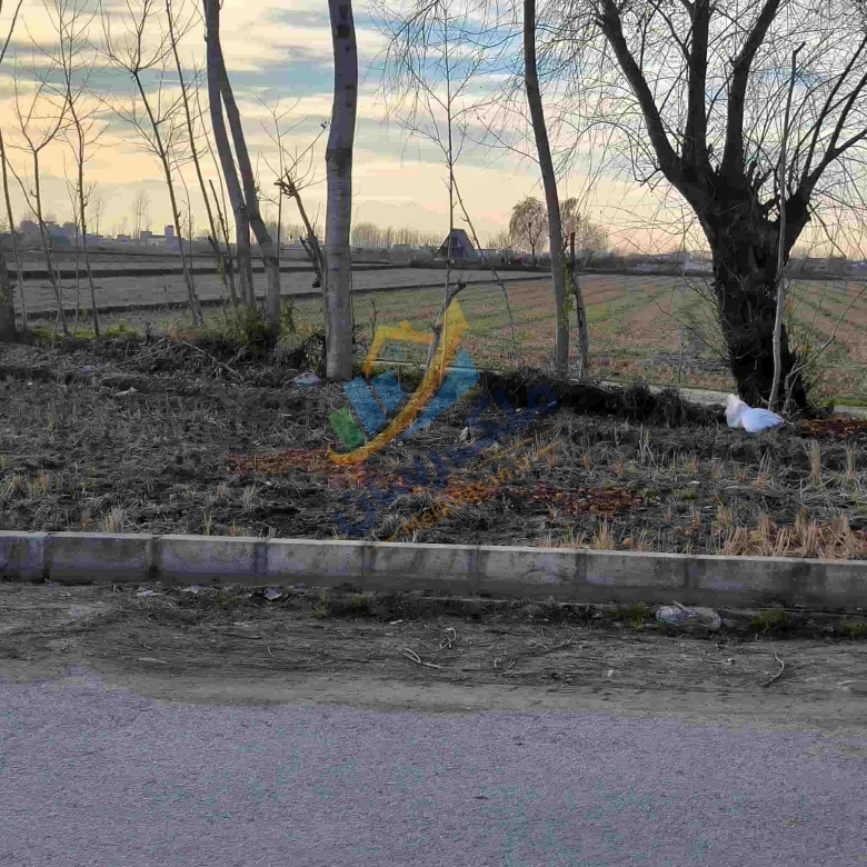 زمین کشاورزی باغی در آمل متراز سه هزار متر