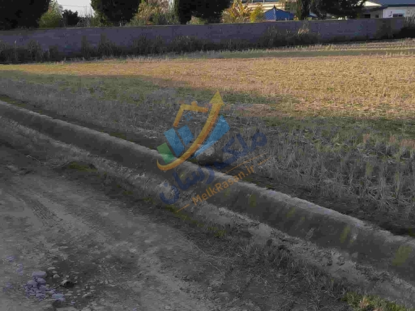 زمین کشاورزی باغی در آمل متراز دو هزار متر