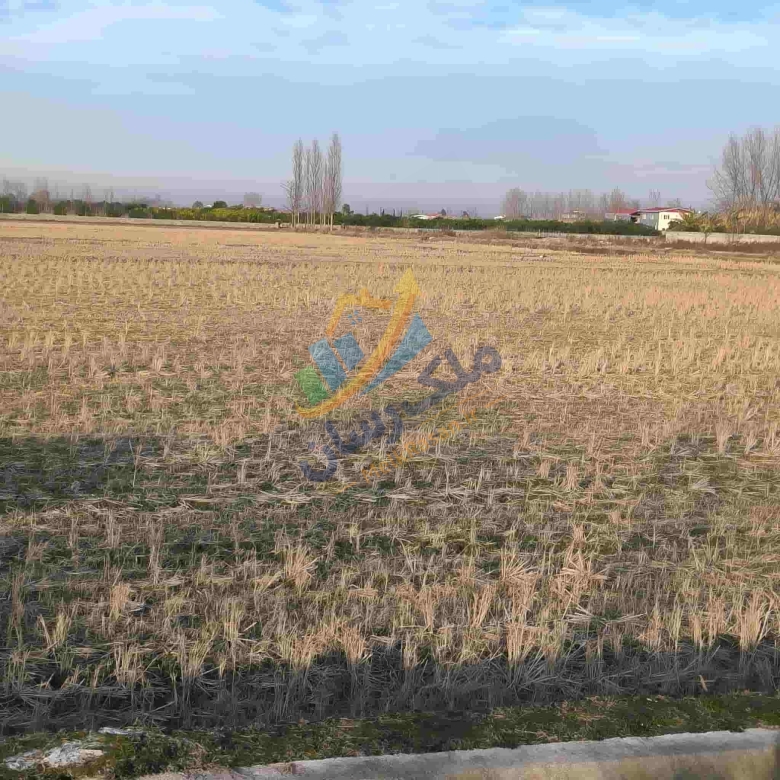 زمین کشاورزی باغی در آمل متراز دو هزار متر