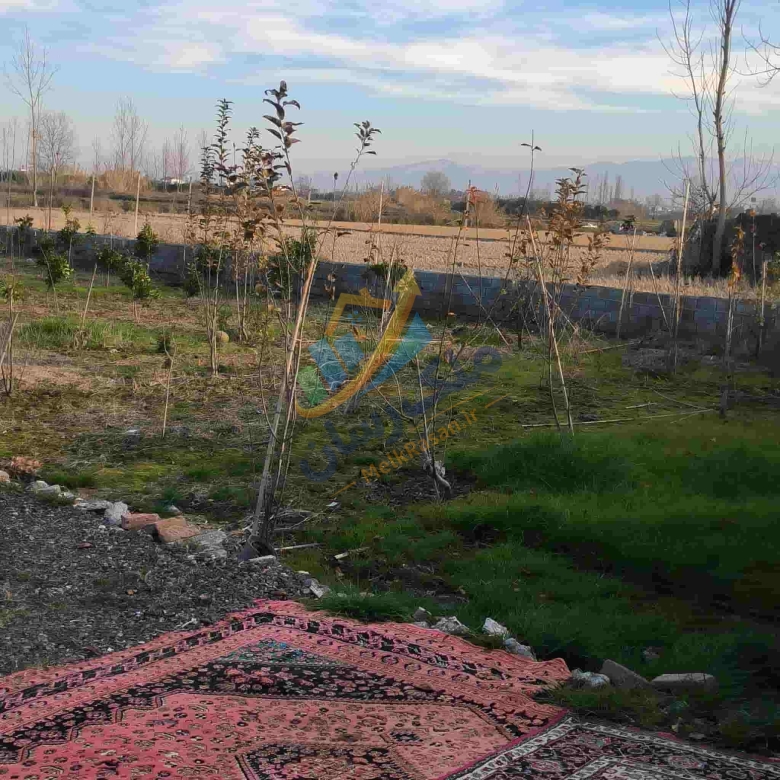 باغ مرکبات 4 هزار متر در آمل جاده اوجی آباد