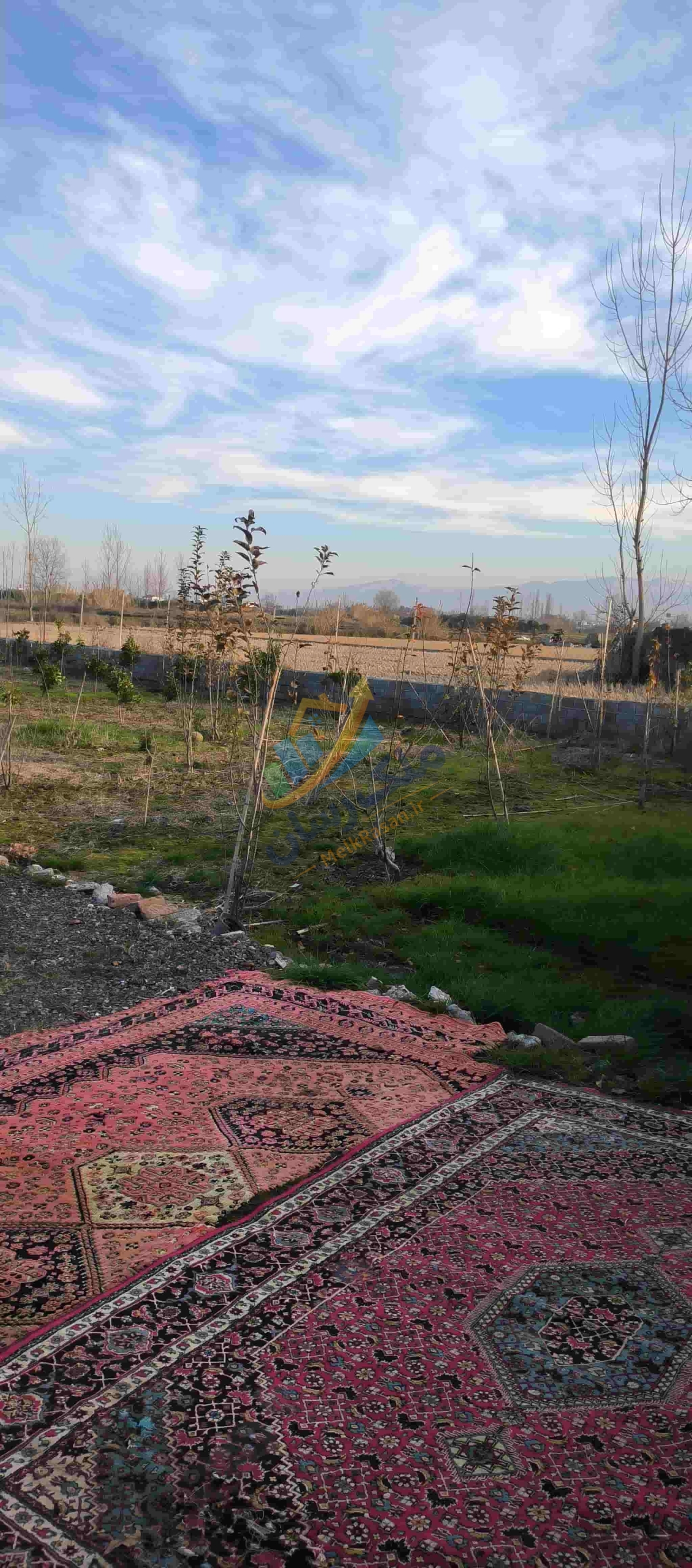 باغ مرکبات 4 هزار متر در آمل جاده اوجی آباد