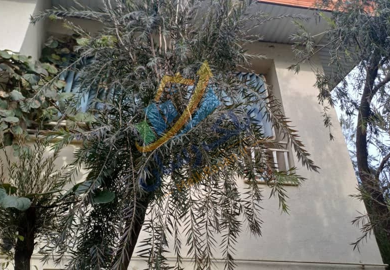 ویلا دوبلکس شهرکی در نوشهر با ۲۷۰ متر زمین و ۲۰۰ متر بنا، ویوی ابدی جنگل و موقعیت پایه کوه نمای ویلا