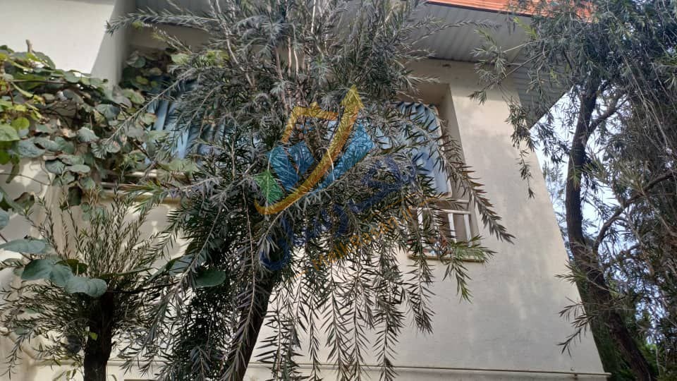 ویلا دوبلکس شهرکی در نوشهر با ۲۷۰ متر زمین و ۲۰۰ متر بنا، ویوی ابدی جنگل و موقعیت پایه کوه نمای ویلا