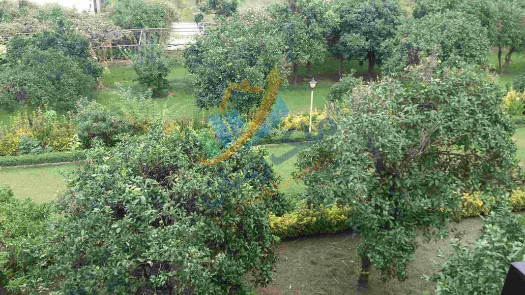 photo_7_2026-01-29_00-45-52 شهرک ویلایی ساحلی در نوشهر شامل ده دستگاه ویلا با ویوی کامل دریا و جنگل، اسکله اختصاصی و مشاعات کامل نمای فضای سبز شهرک